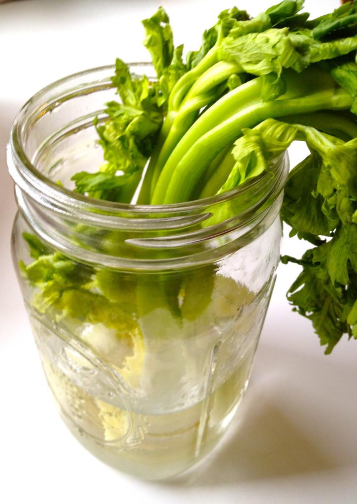 How to keep your celery crisp, your spinach from getting slimy and