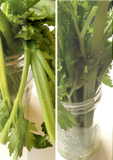 How to keep your celery crisp, your spinach from getting slimy and other veggie tips